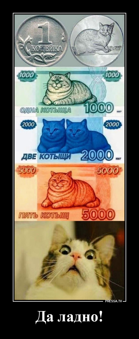 ����-������