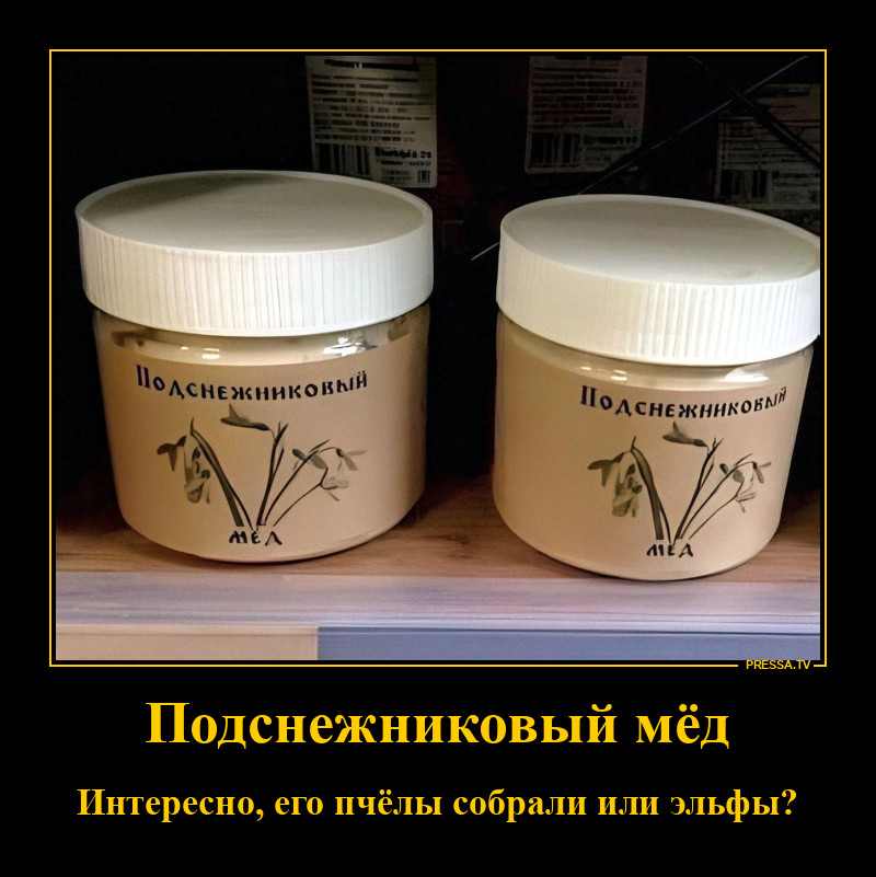 �������������� ��