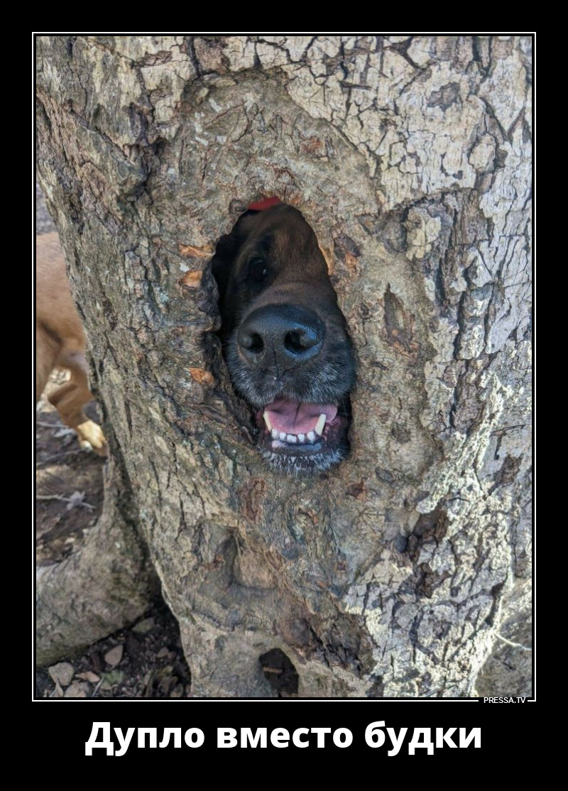 � ���� ����� ���� � �����