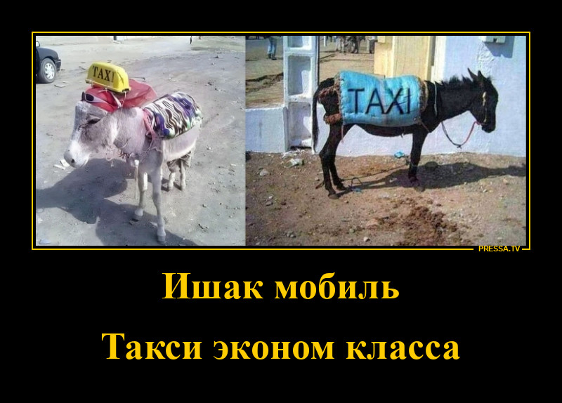 ��������� ������