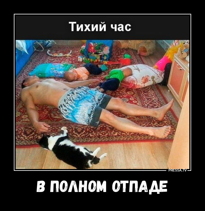 � ������