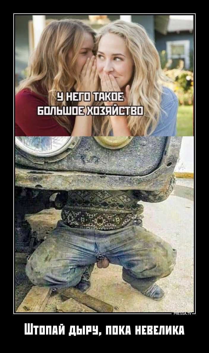 ������������� �������