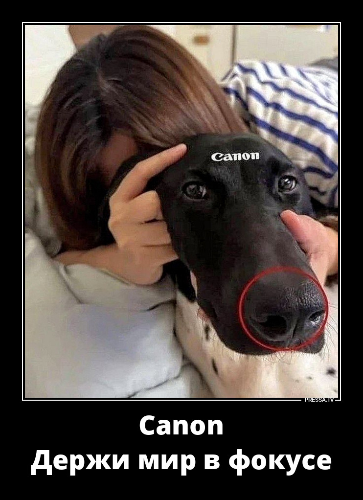 Canon