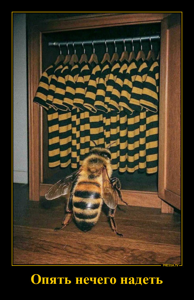 ��� �����?
