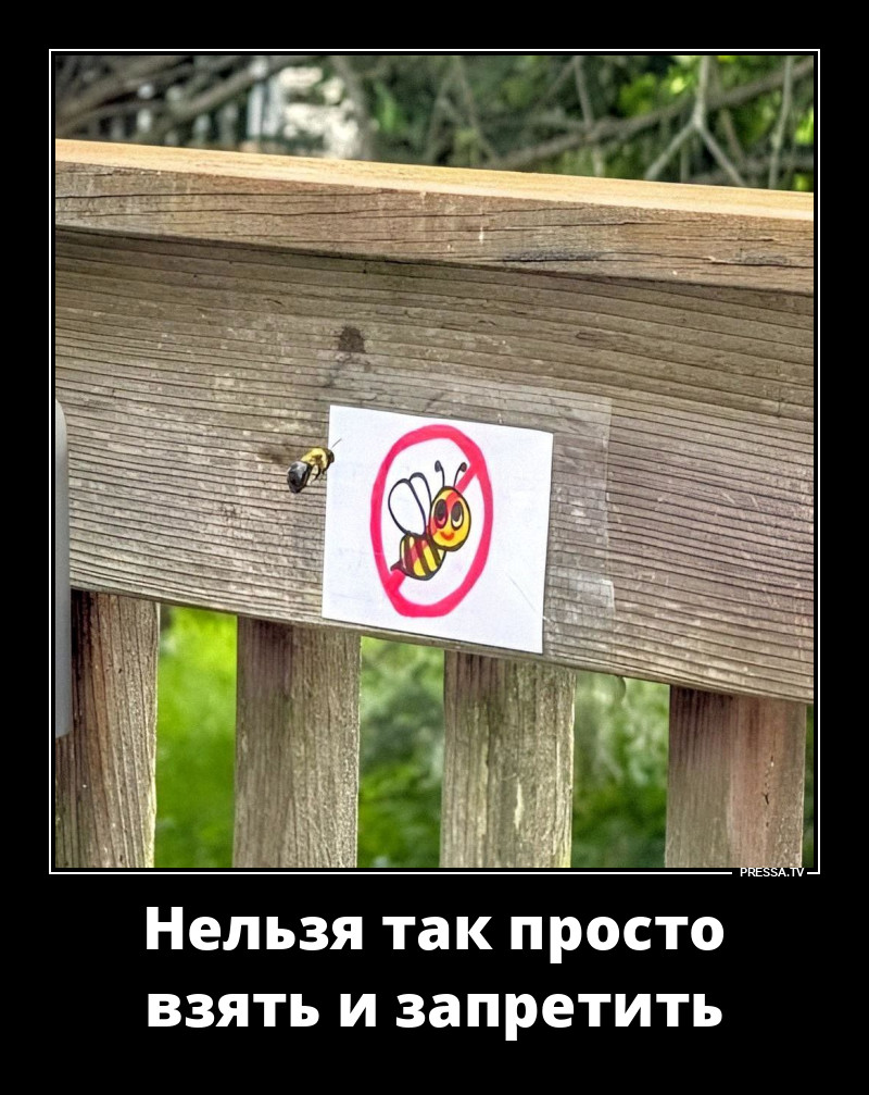 ����� ��������
