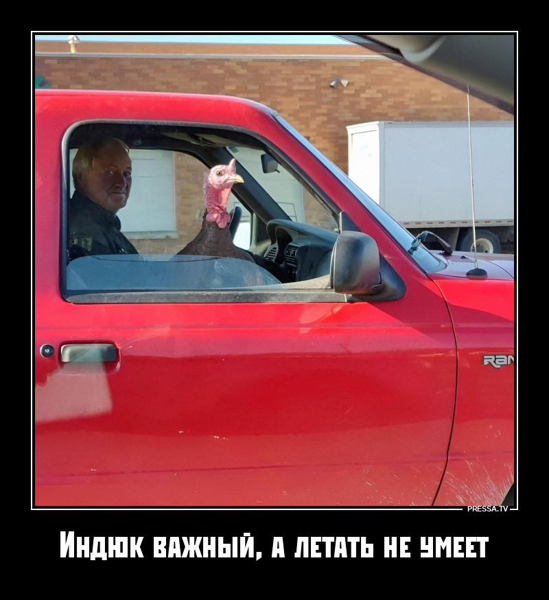 ������ �����