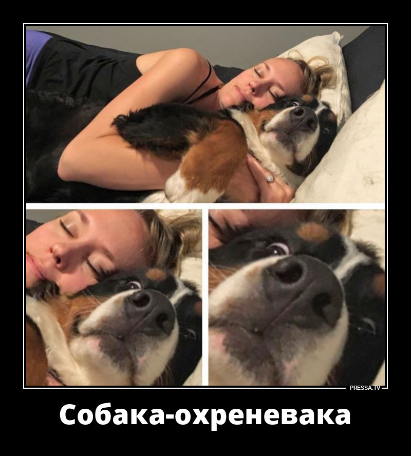 ������ �������� �� ����� �������