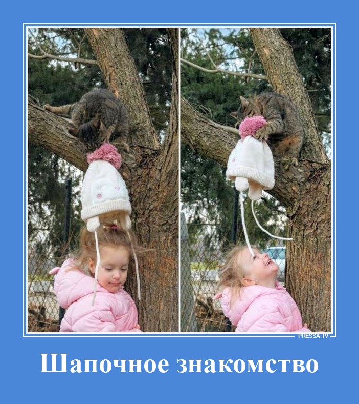 Стянули шапку