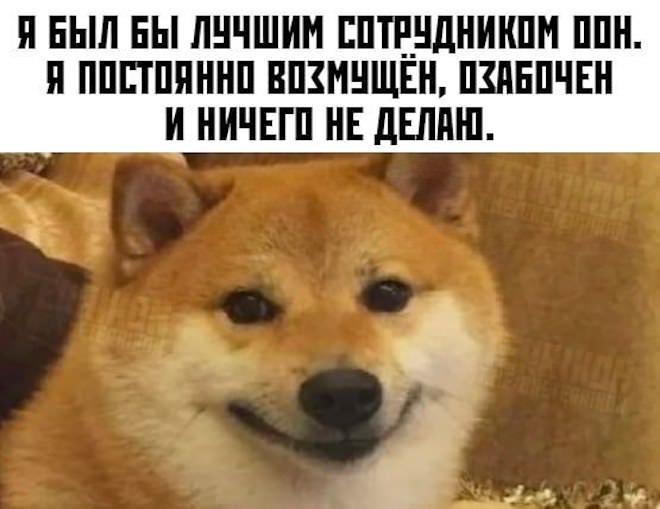 ���� � �������� 