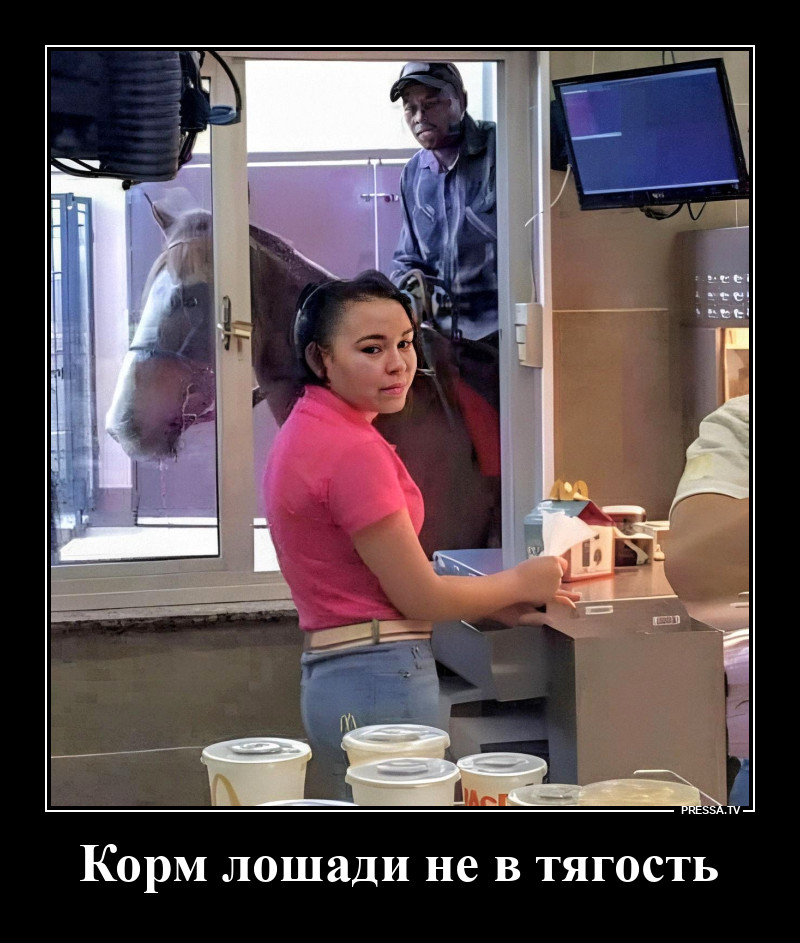 � ����������
