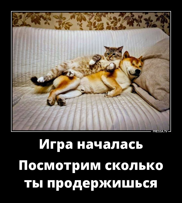 ���� ��������