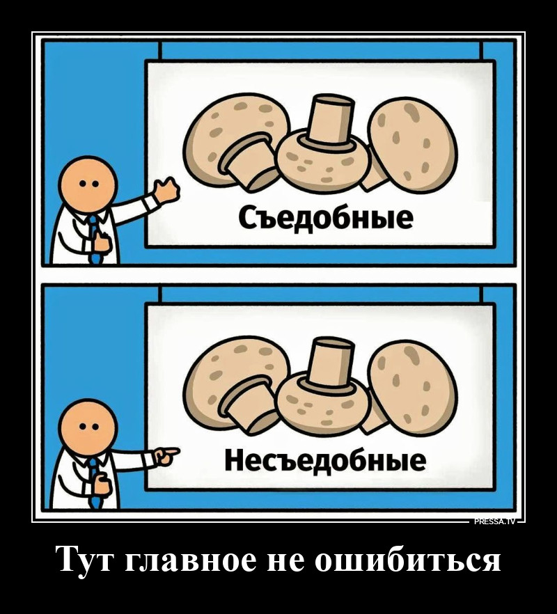 ������� ���������