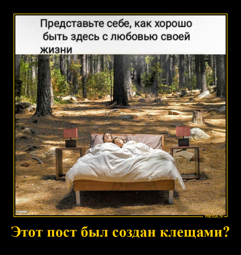 В лесу