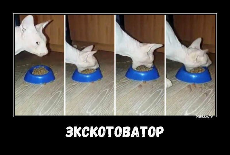 ��������� ������
