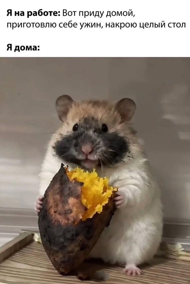 ���� � ��������