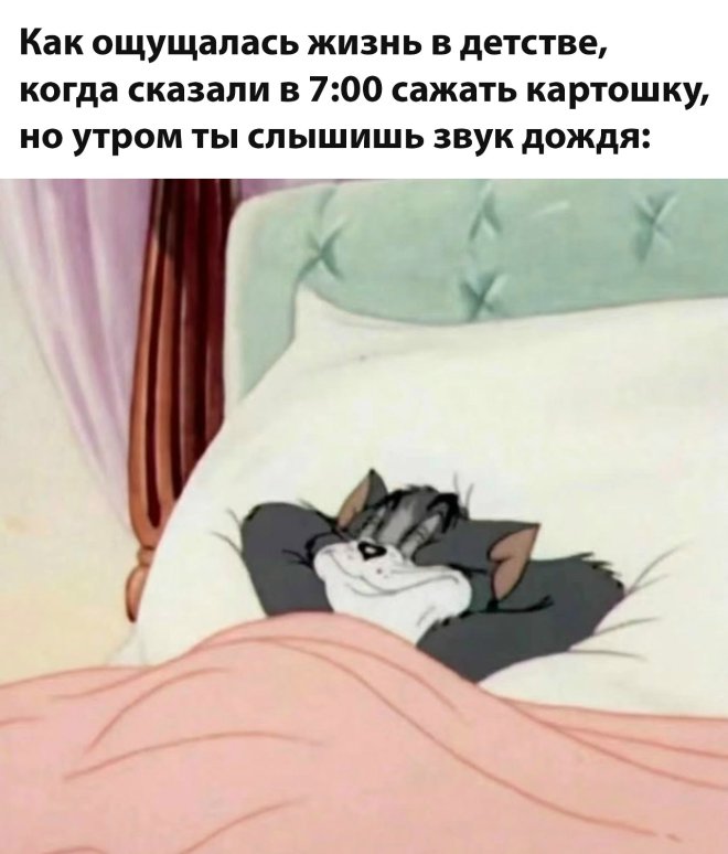 ���� � ��������