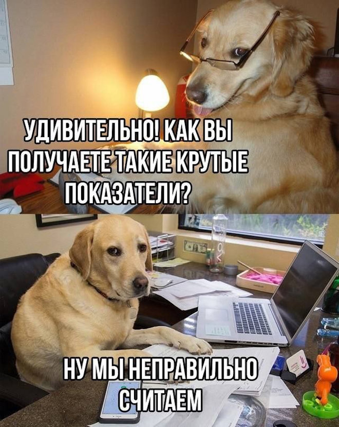 ���� � �������� 