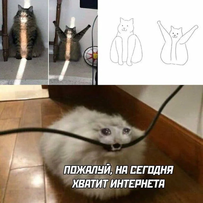 ���� � �������� 