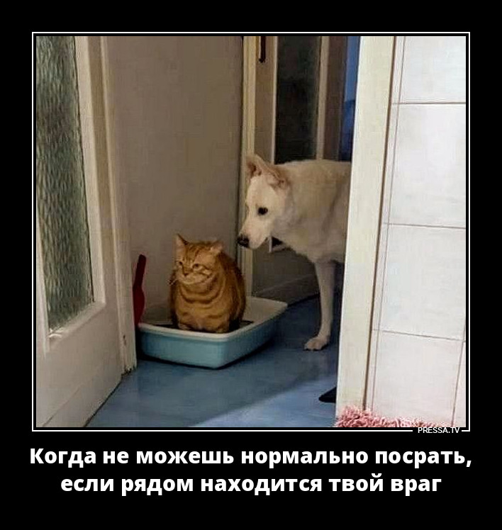 �� ���� ����� ����, �� ������ �� ����