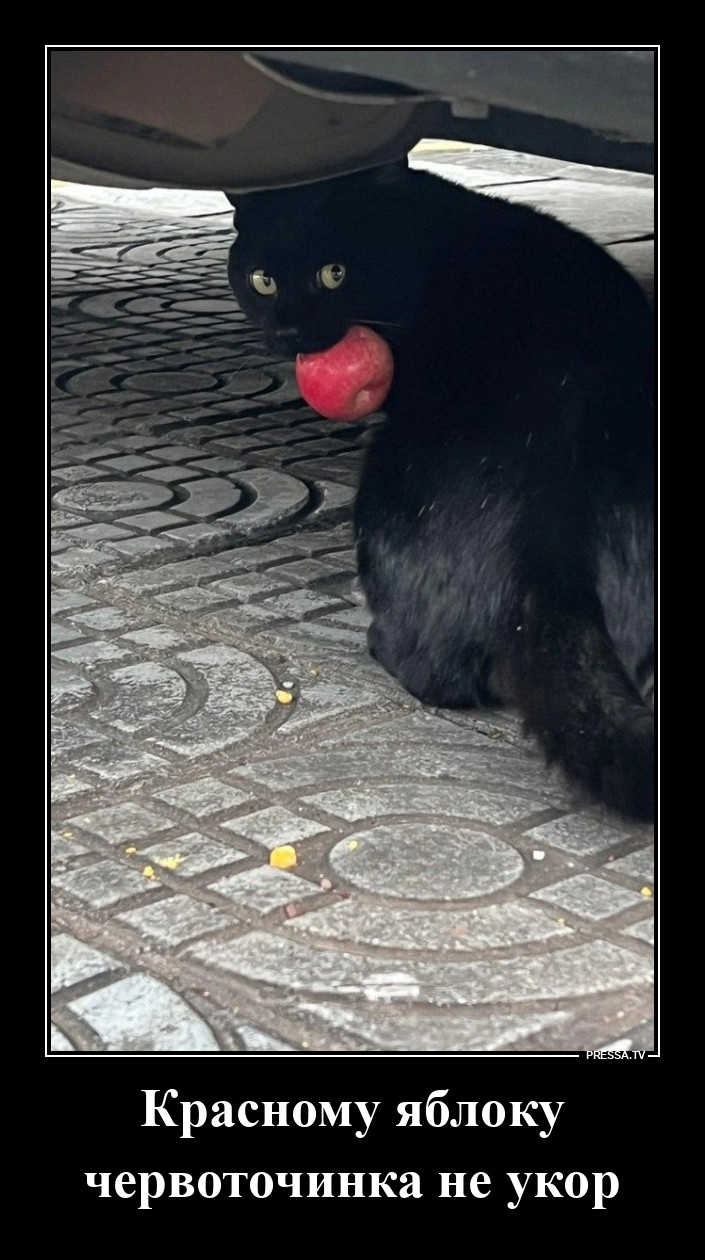 ��������� ���� ������