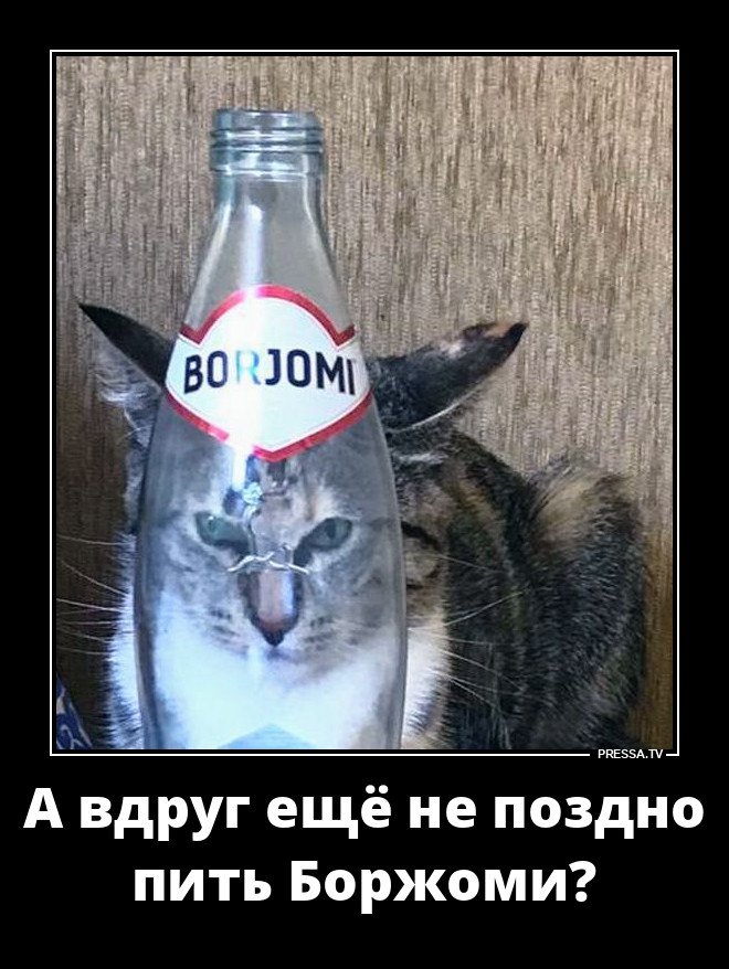 ����������� ��������