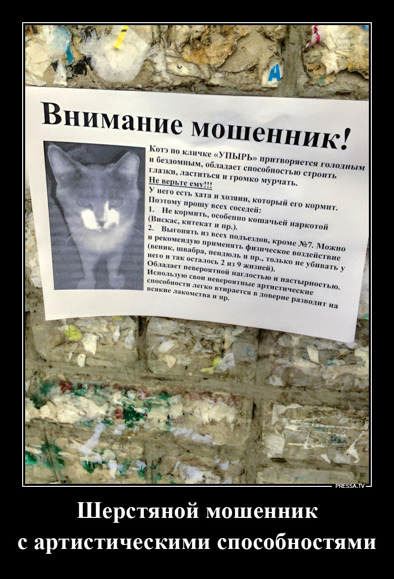 ����� ���������� �������� �������