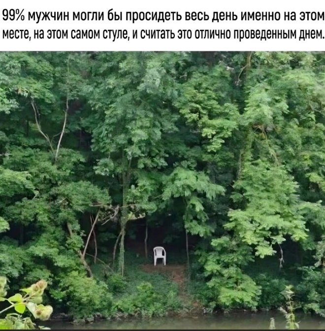 ���� � ��������