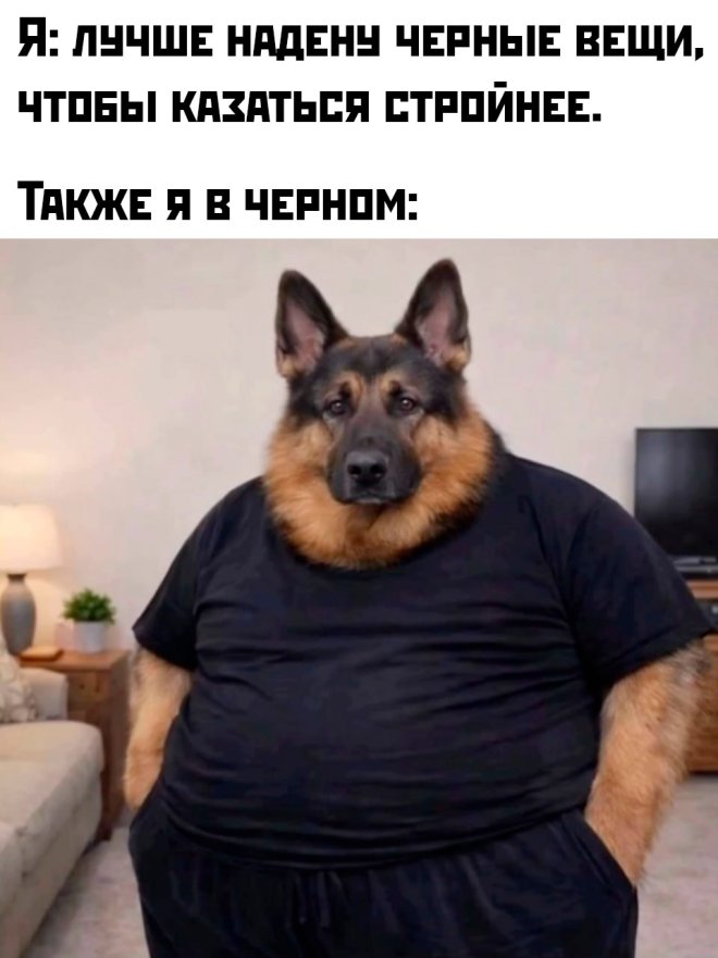 ���� � ��������