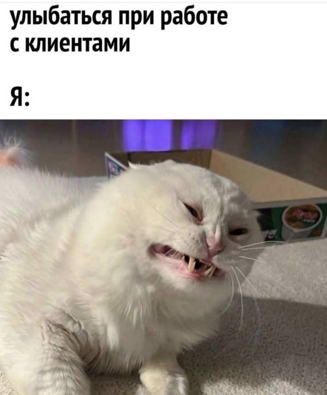 ���� � ��������