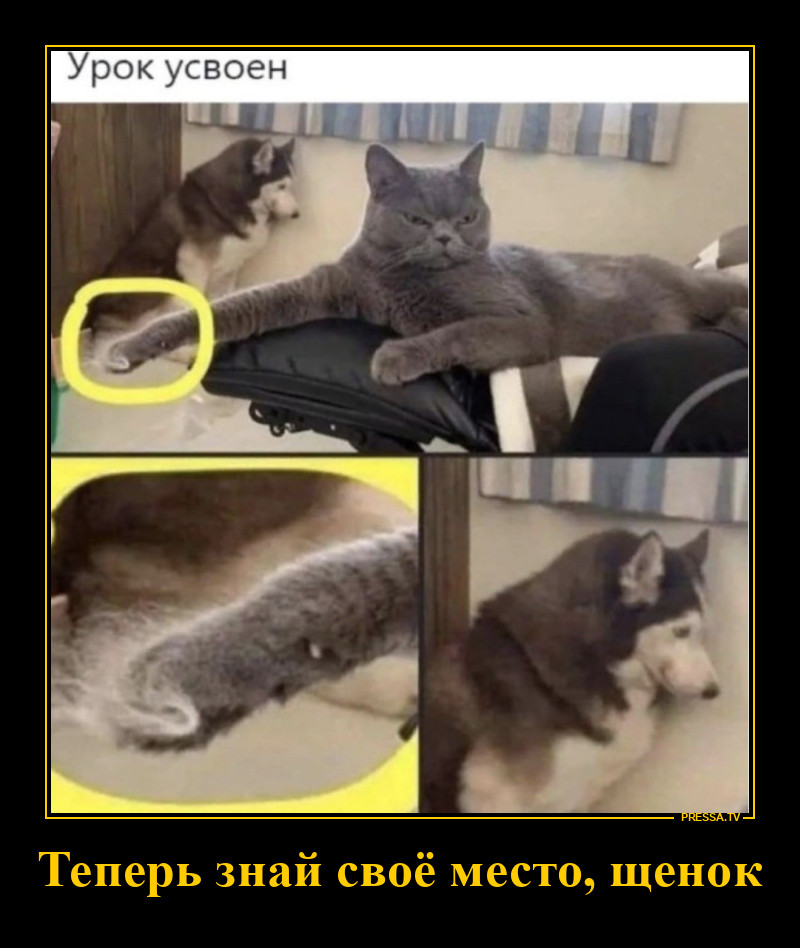 ���� ��� �����