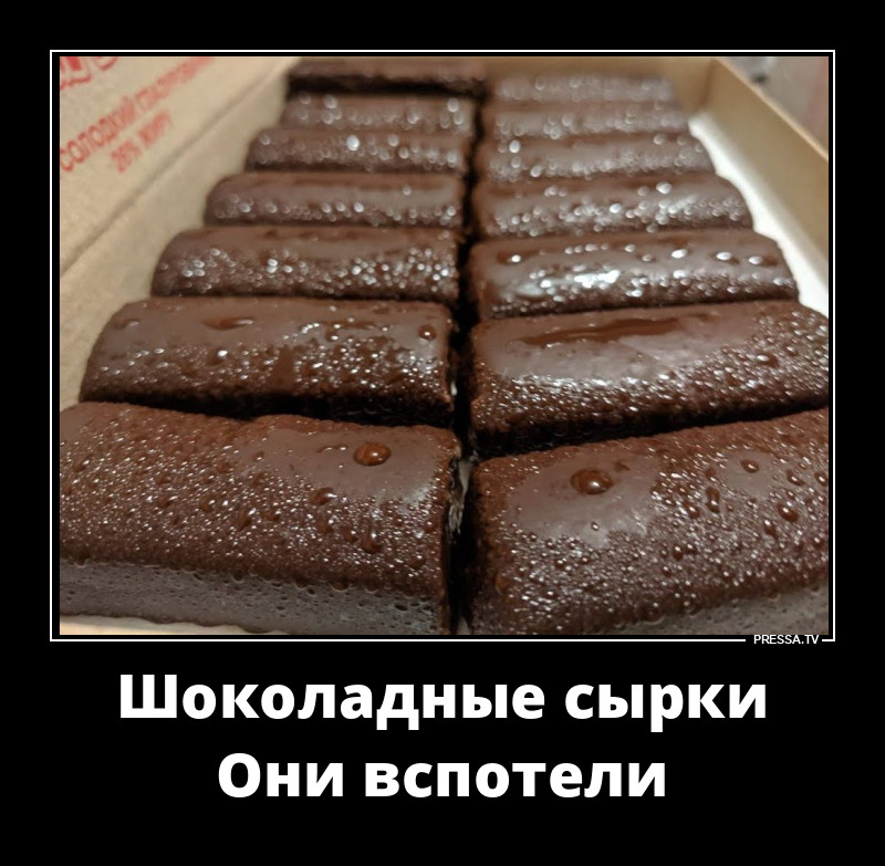 ������ �����