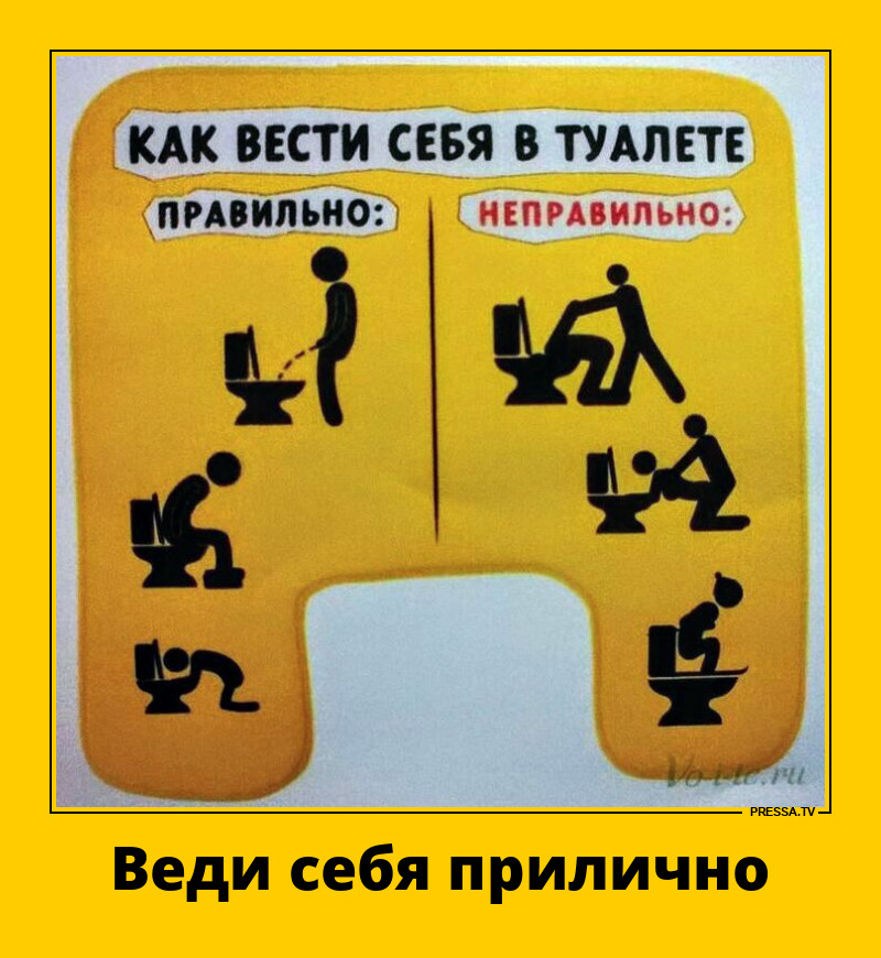 Правила поведения в туалете