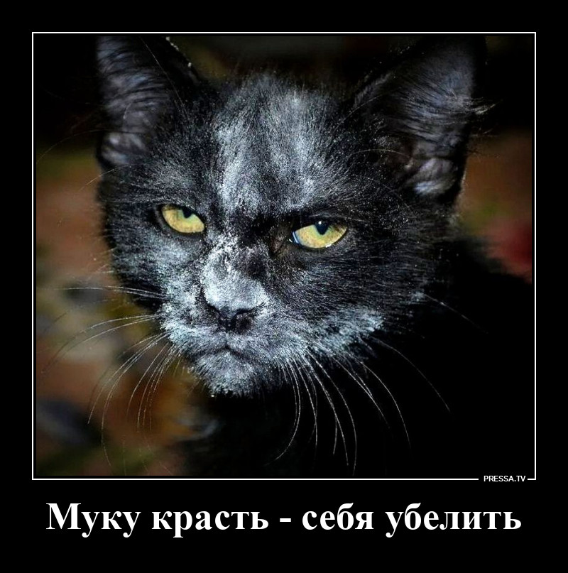 Мучное