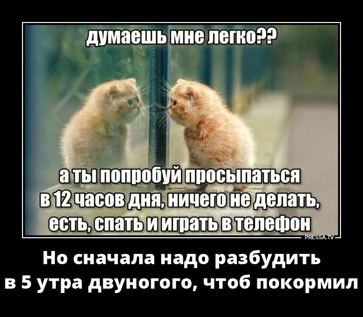 ��� �� �����