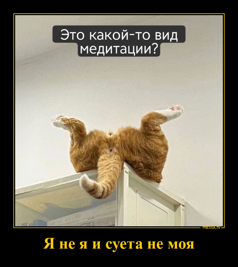 �������� ����