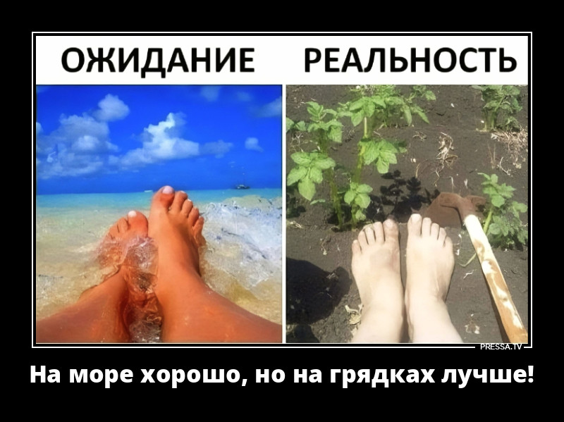 �������� � ����������