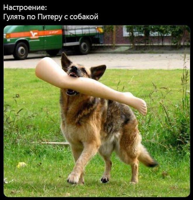 ���� � �������� 