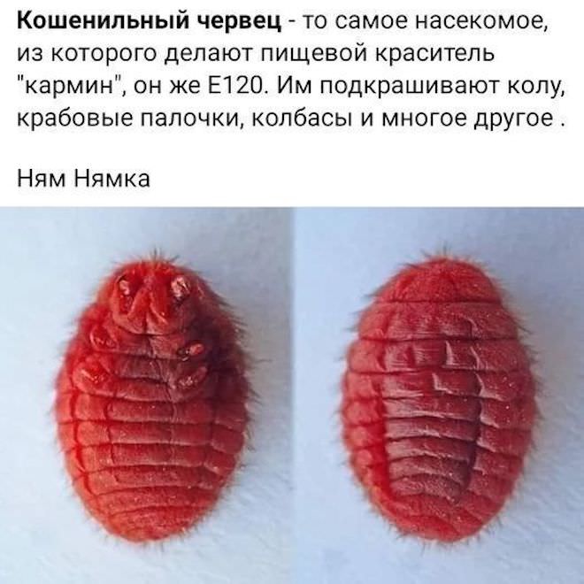 ���� � �������� 