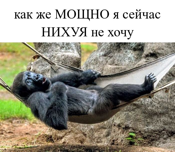 Не хочу, не буду