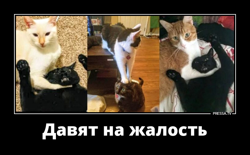 Давление