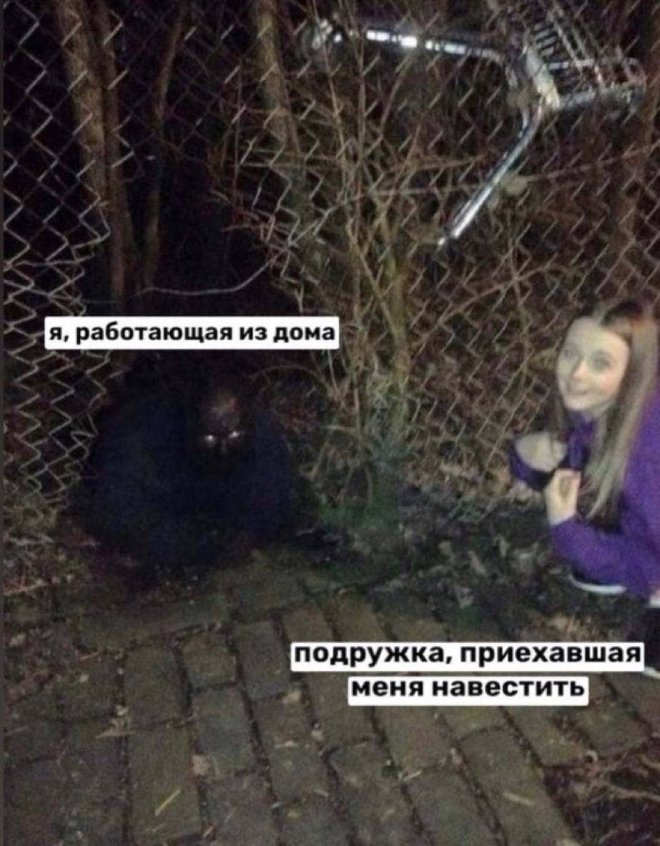 ���� � ��������