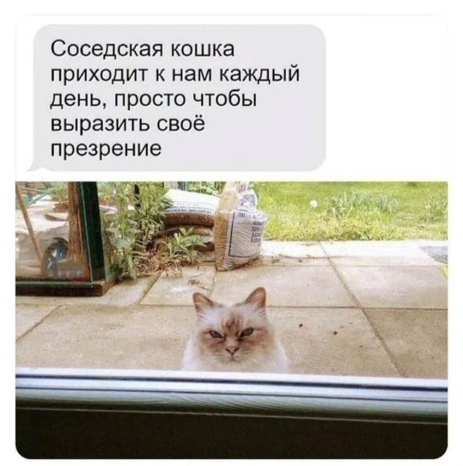 ���� �� ��������
