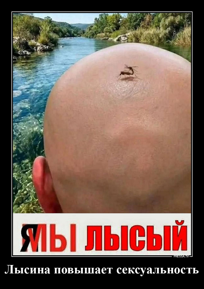 ����������� ������