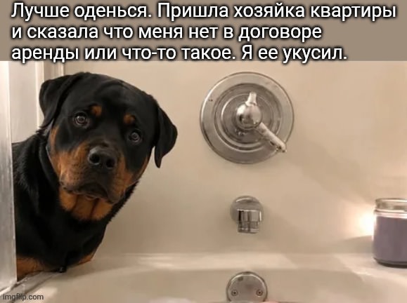 ���� � ��������