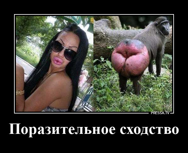 ���� ������, ����������� ������� �� ����
