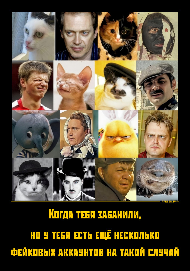 Забавные сходства