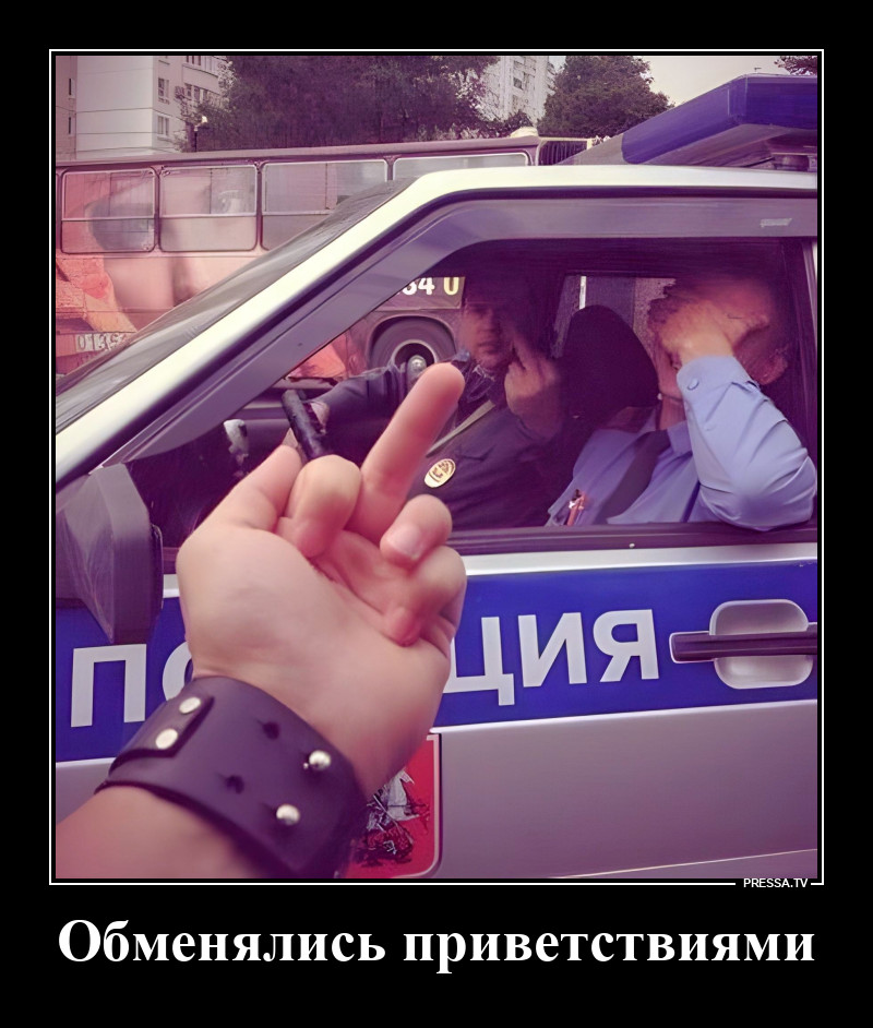 Поприветствовали друг друга