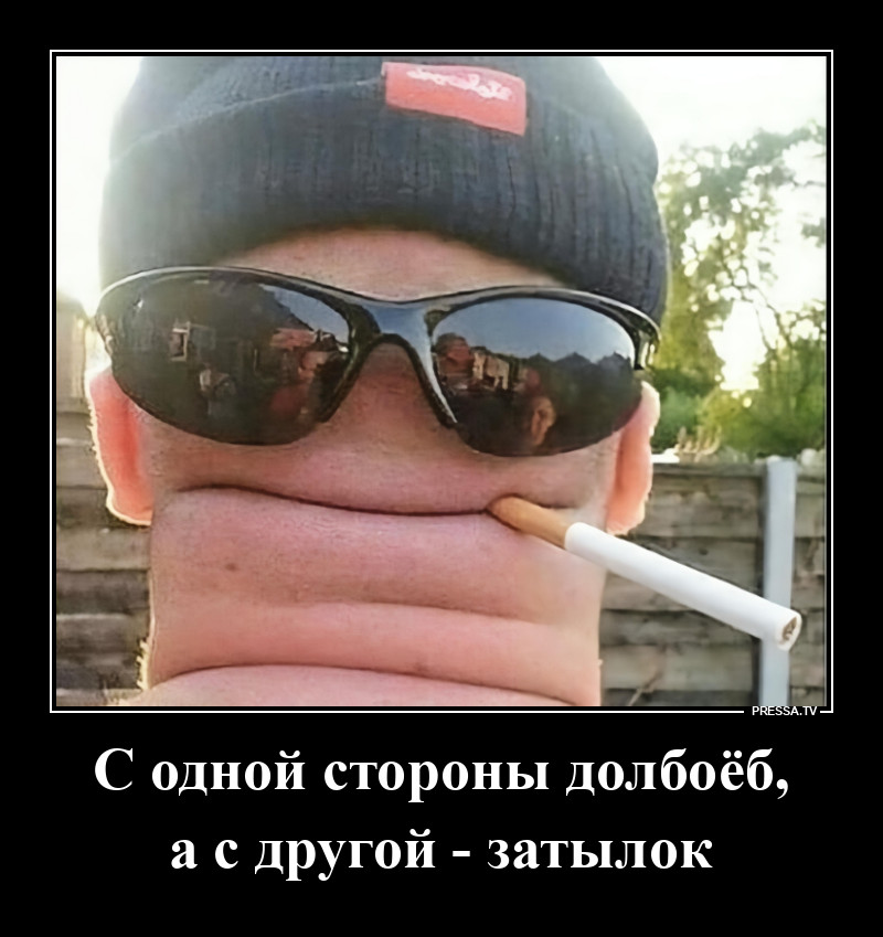 ���� �������