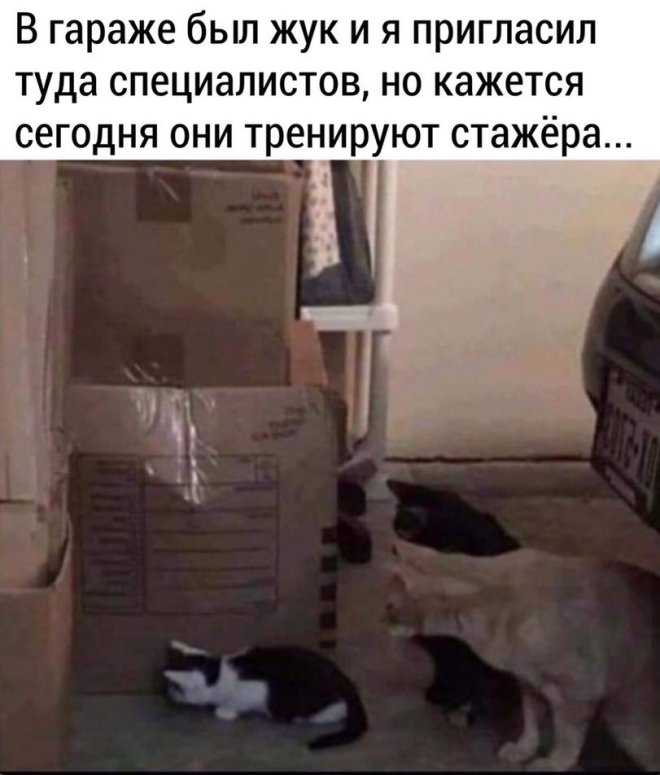 ���� � ��������