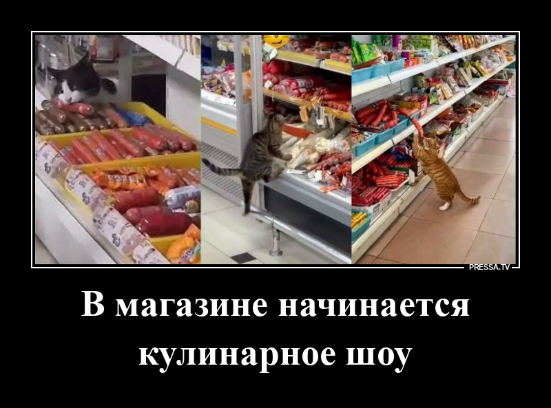 �������� �� �������